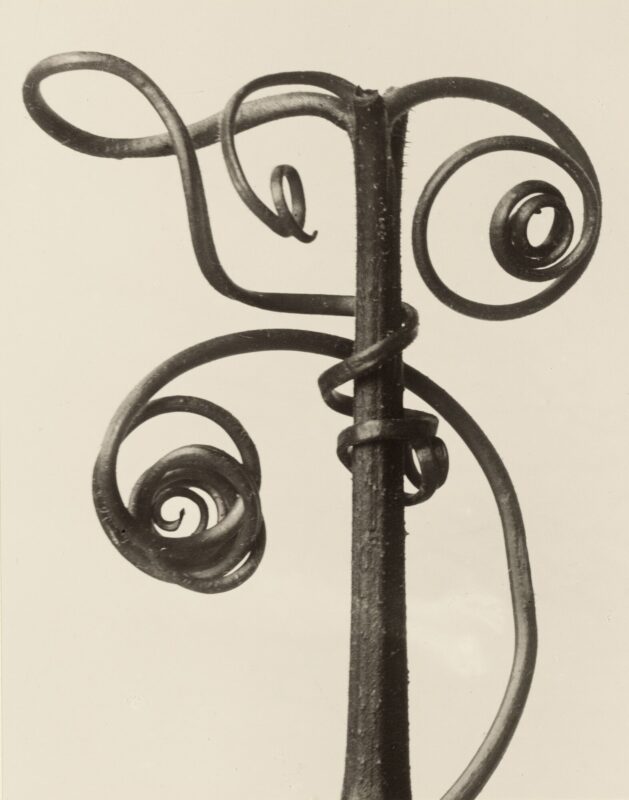 Tendril